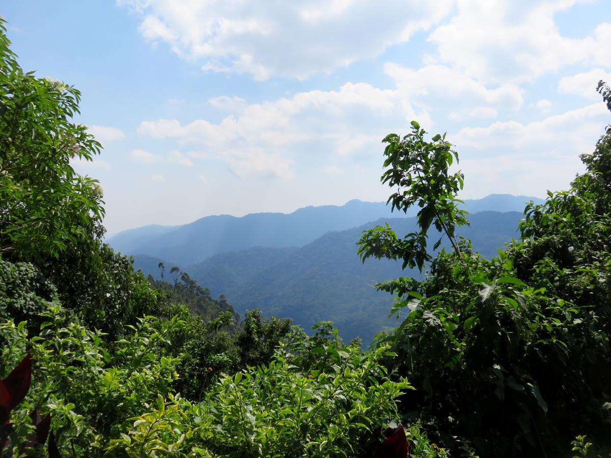 Nkuringo Bwindi Gorilla Lodge エクステリア 写真