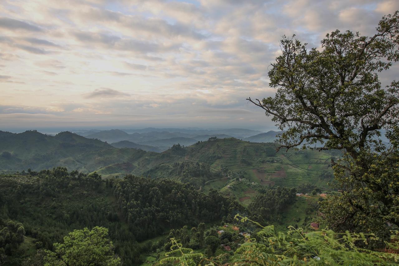 Nkuringo Bwindi Gorilla Lodge エクステリア 写真